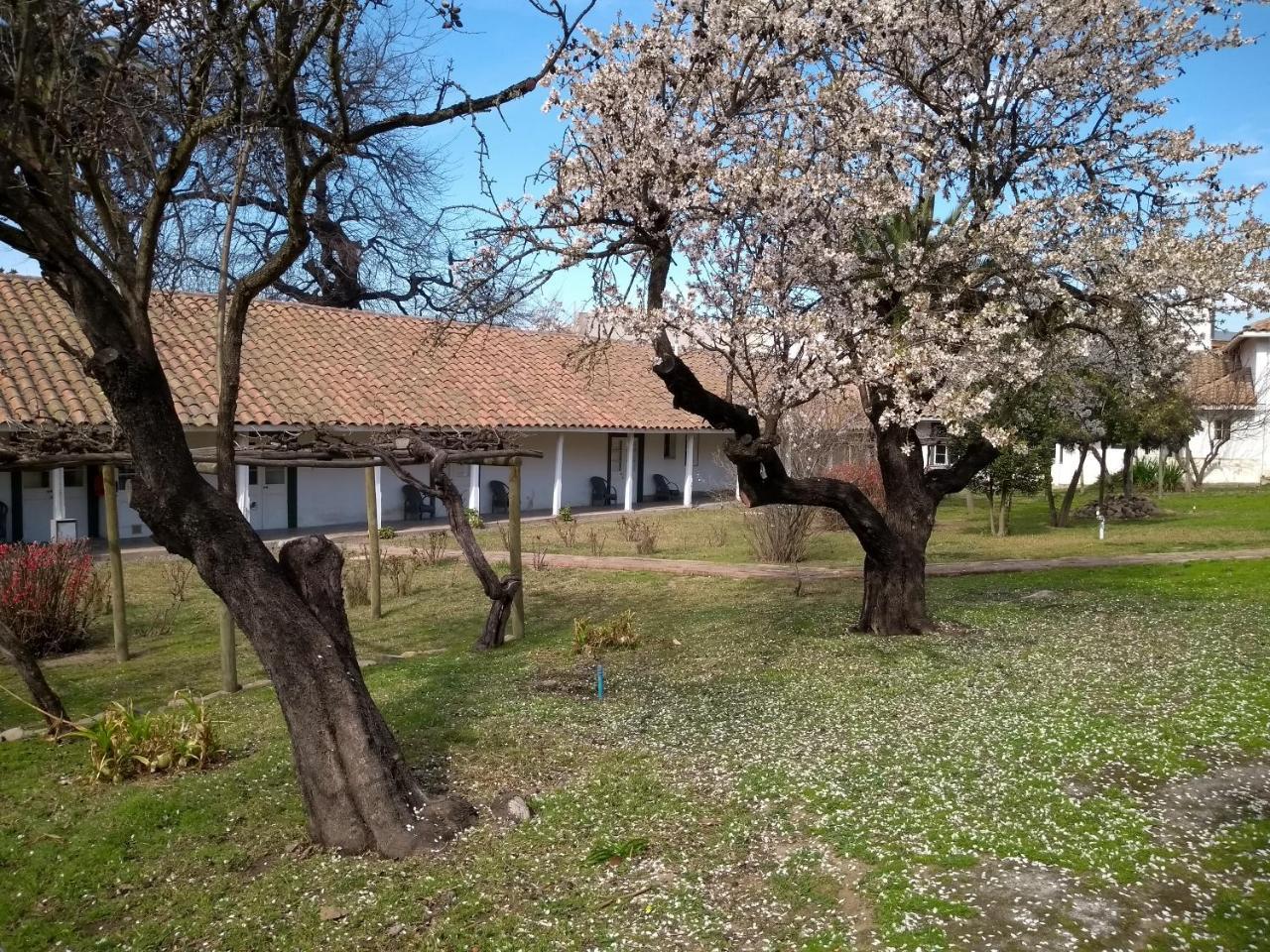 Hotel Plaza Malloa Exterior photo